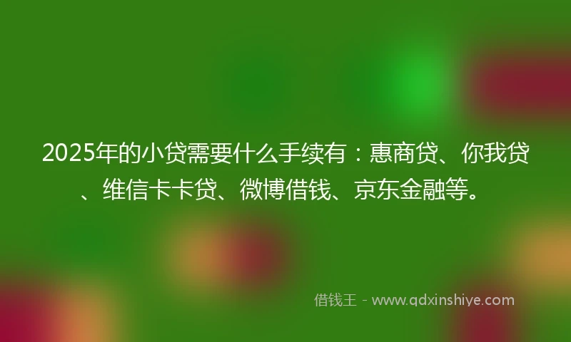 2025年的小贷需要什么手续有：惠商贷、你我贷、维信卡卡贷、微博借钱、京东金融等。