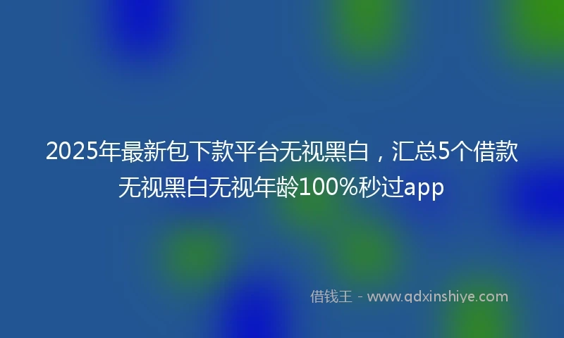 2025年最新包下款平台无视黑白，汇总5个借款无视黑白无视年龄100%秒过app