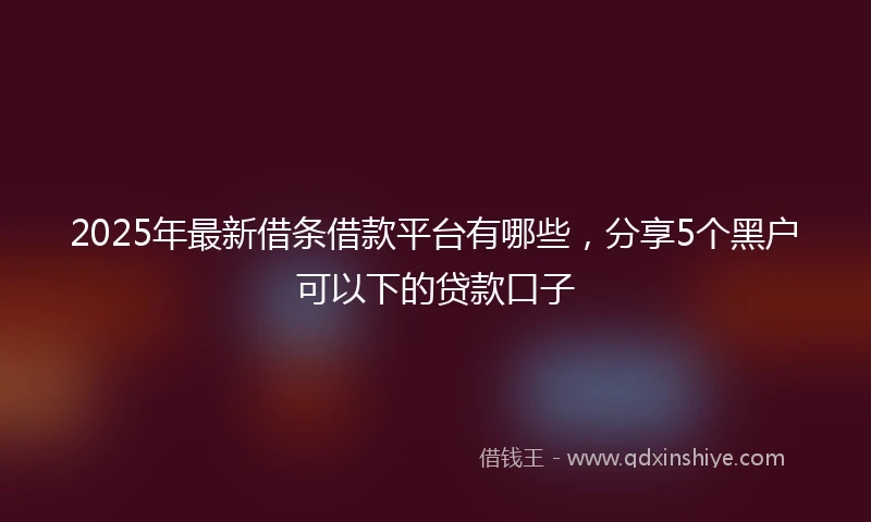 2025年最新借条借款平台有哪些，分享5个黑户可以下的贷款口子
