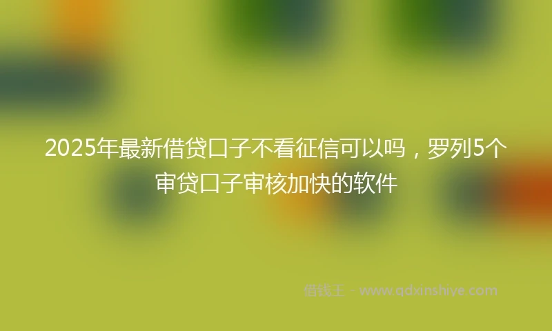 2025年最新借贷口子不看征信可以吗，罗列5个审贷口子审核加快的软件