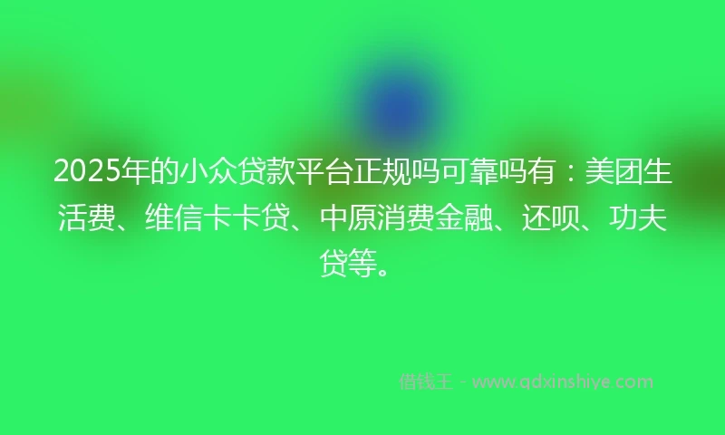 2025年的小众贷款平台正规吗可靠吗有：美团生活费、维信卡卡贷、中原消费金融、还呗、功夫贷等。