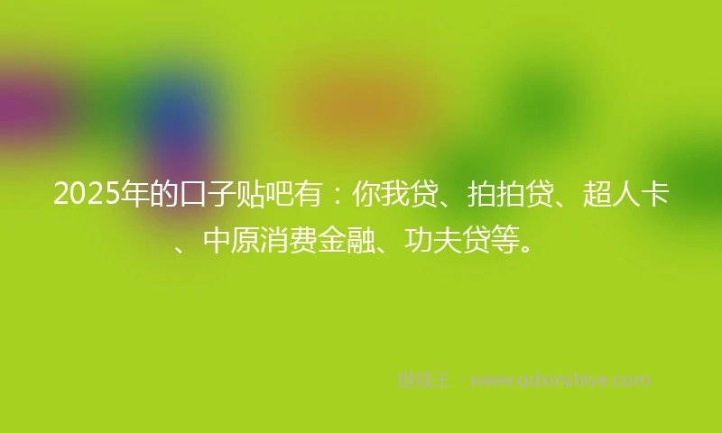 2025年的口子贴吧有：你我贷、拍拍贷、超人卡、中原消费金融、功夫贷等。