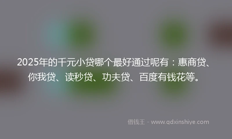 2025年的千元小贷哪个最好通过呢有：惠商贷、你我贷、读秒贷、功夫贷、百度有钱花等。