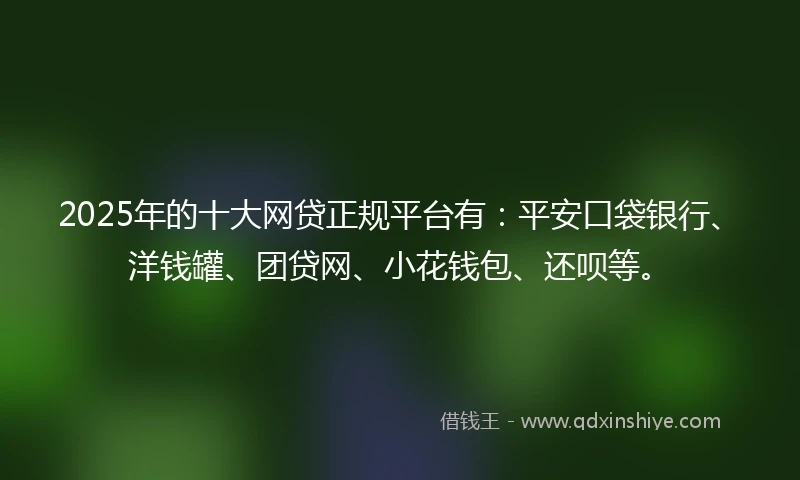 2025年的十大网贷正规平台有：平安口袋银行、洋钱罐、团贷网、小花钱包、还呗等。
