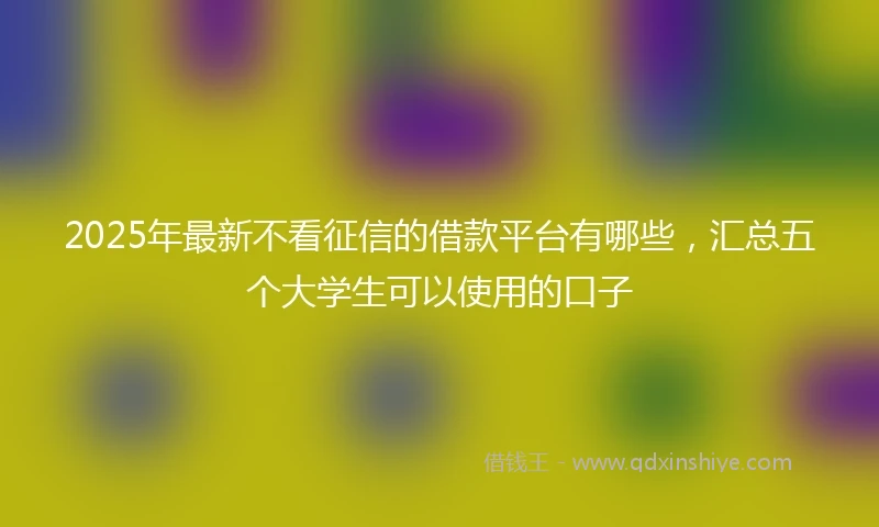 2025年最新不看征信的借款平台有哪些，汇总五个大学生可以使用的口子