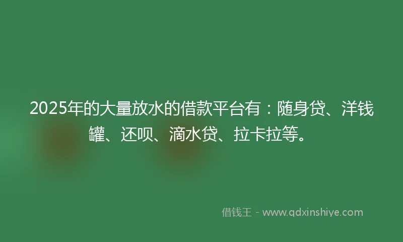 2025年的大量放水的借款平台有：随身贷、洋钱罐、还呗、滴水贷、拉卡拉等。