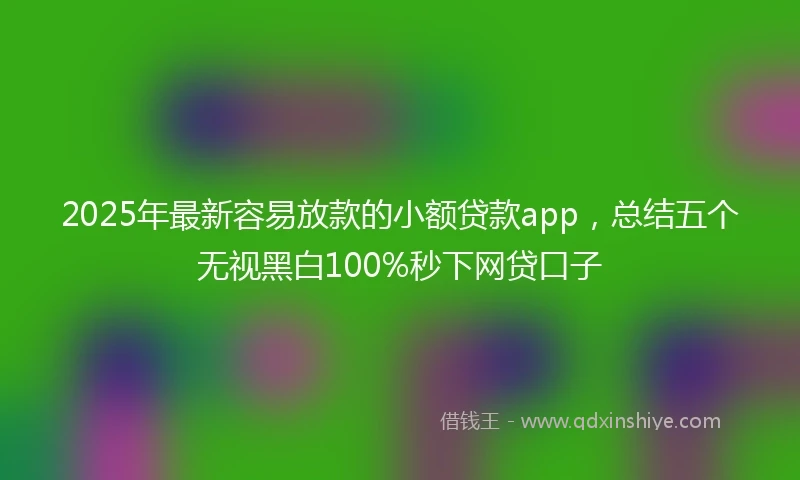 2025年最新容易放款的小额贷款app，总结五个无视黑白100%秒下网贷口子