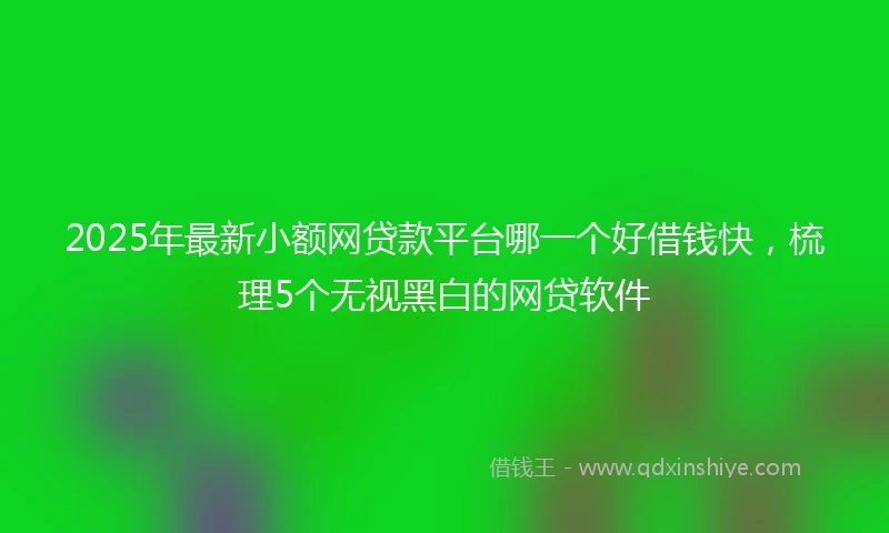 2025年最新小额网贷款平台哪一个好借钱快，梳理5个无视黑白的网贷软件