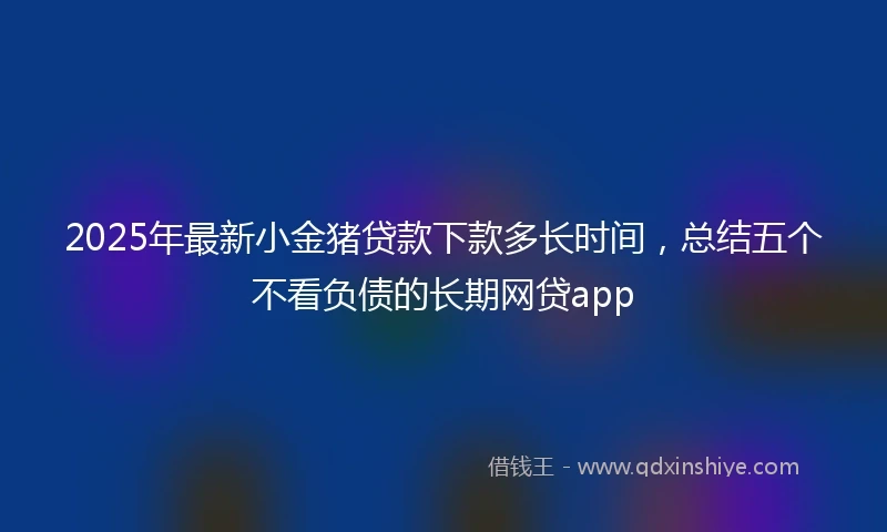 2025年最新小金猪贷款下款多长时间，总结五个不看负债的长期网贷app
