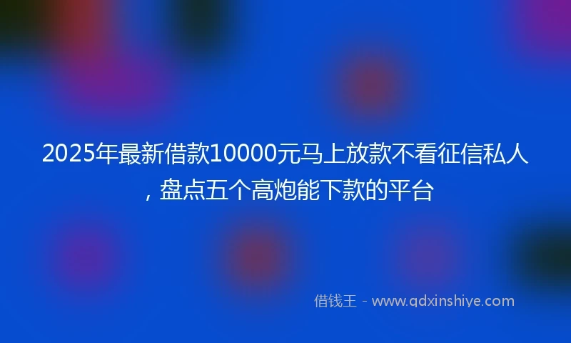2025年最新借款10000元马上放款不看征信私人，盘点五个高炮能下款的平台