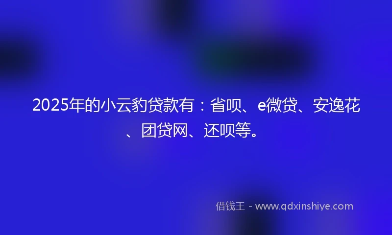 2025年的小云豹贷款有：省呗、e微贷、安逸花、团贷网、还呗等。
