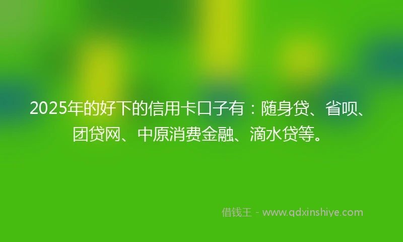 2025年的好下的信用卡口子有：随身贷、省呗、团贷网、中原消费金融、滴水贷等。