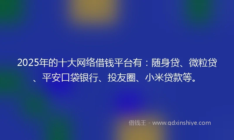 2025年的十大网络借钱平台有：随身贷、微粒贷、平安口袋银行、投友圈、小米贷款等。