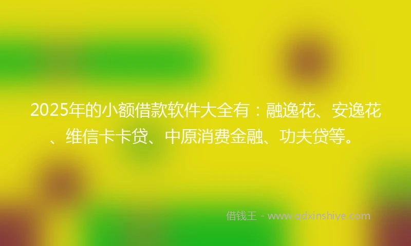 2025年的小额借款软件大全有：融逸花、安逸花、维信卡卡贷、中原消费金融、功夫贷等。