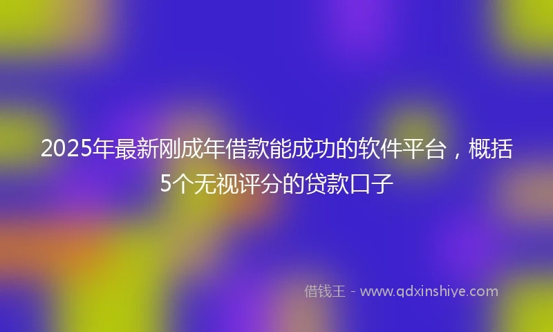 2025年最新刚成年借款能成功的软件平台，概括5个无视评分的贷款口子