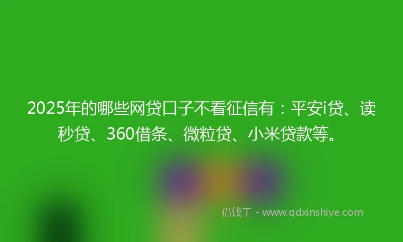 2025年的哪些网贷口子不看征信有：平安i贷、读秒贷、360借条、微粒贷、小米贷款等。
