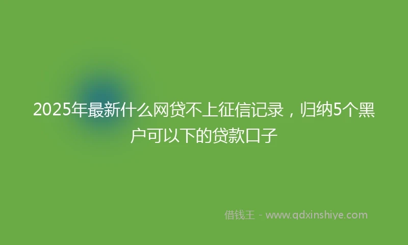 2025年最新什么网贷不上征信记录，归纳5个黑户可以下的贷款口子