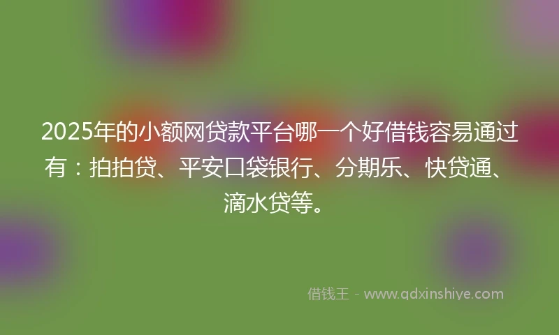 2025年的小额网贷款平台哪一个好借钱容易通过有：拍拍贷、平安口袋银行、分期乐、快贷通、滴水贷等。