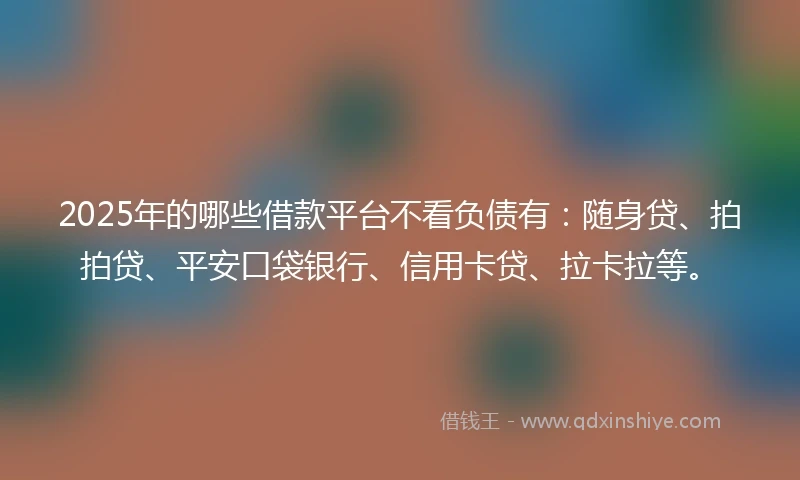 2025年的哪些借款平台不看负债有：随身贷、拍拍贷、平安口袋银行、信用卡贷、拉卡拉等。