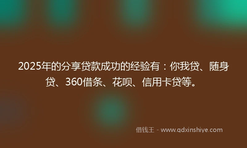 2025年的分享贷款成功的经验有：你我贷、随身贷、360借条、花呗、信用卡贷等。