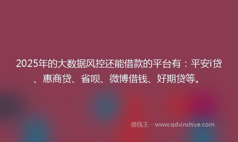 2025年的大数据风控还能借款的平台有：平安i贷、惠商贷、省呗、微博借钱、好期贷等。