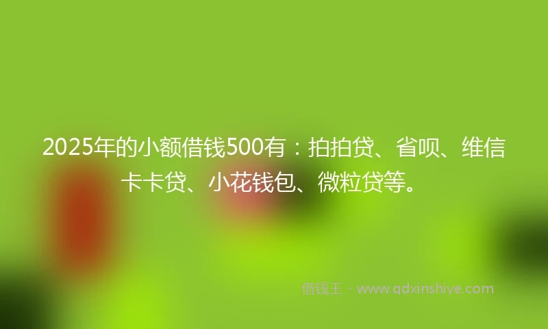 2025年的小额借钱500有：拍拍贷、省呗、维信卡卡贷、小花钱包、微粒贷等。