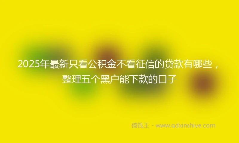 2025年最新只看公积金不看征信的贷款有哪些，整理五个黑户能下款的口子
