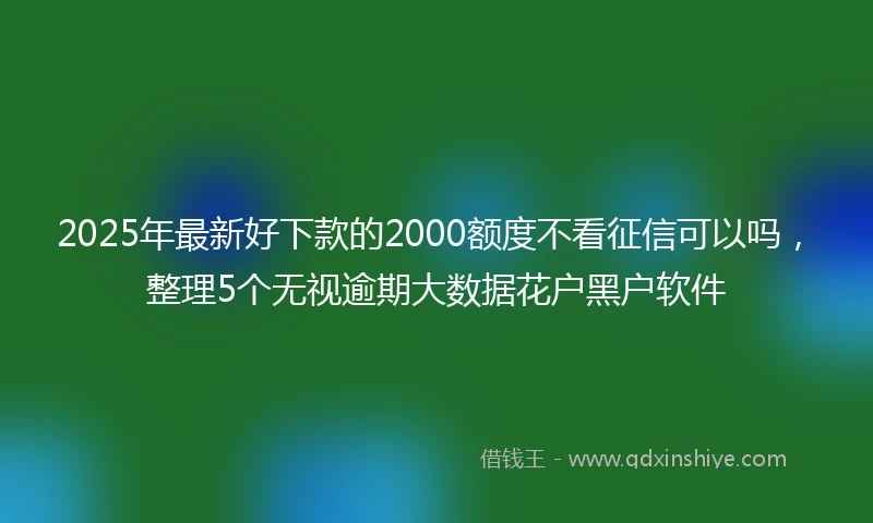 2025年最新好下款的2000额度不看征信可以吗,整理5个无视逾期大数据花户黑户软件