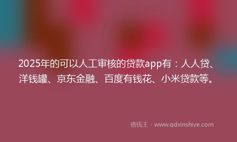 2025年的可以人工审核的贷款app有：人人贷、洋钱罐、京东金融、百度有钱花、小米贷款等。