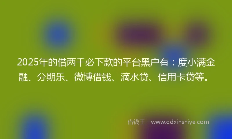 2025年的借两千必下款的平台黑户有：度小满金融、分期乐、微博借钱、滴水贷、信用卡贷等。