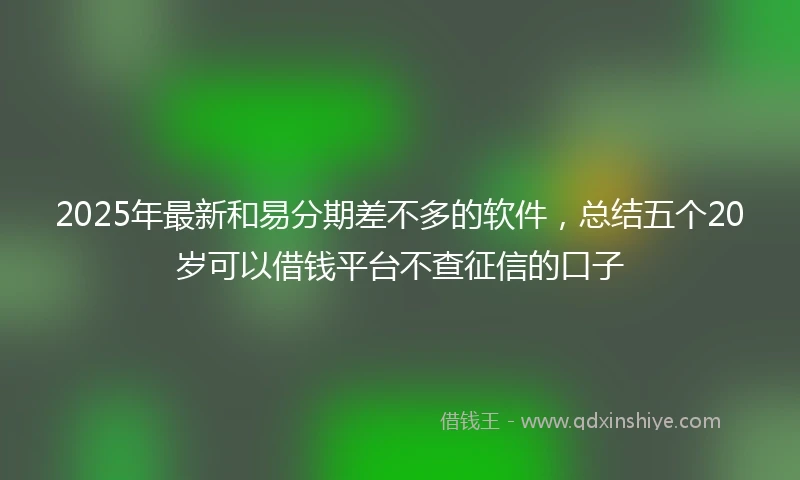 2025年最新和易分期差不多的软件，总结五个20岁可以借钱平台不查征信的口子