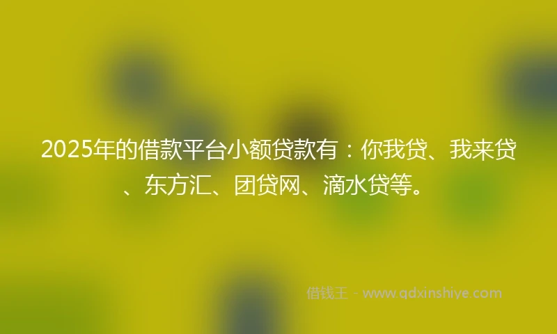 2025年的借款平台小额贷款有：你我贷、我来贷、东方汇、团贷网、滴水贷等。