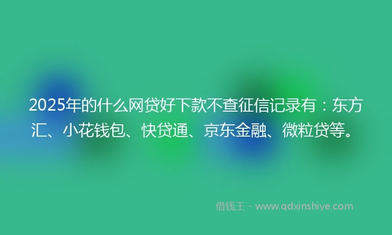 2025年的什么网贷好下款不查征信记录有：东方汇、小花钱包、快贷通、京东金融、微粒贷等。