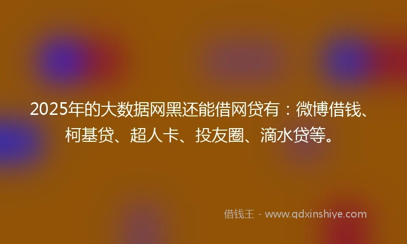 2025年的大数据网黑还能借网贷有：微博借钱、柯基贷、超人卡、投友圈、滴水贷等。