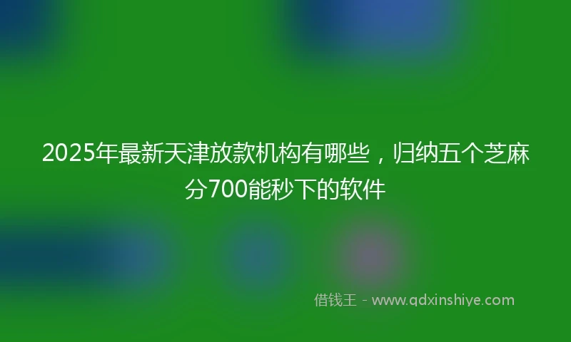 2025年最新天津放款机构有哪些，归纳五个芝麻分700能秒下的软件
