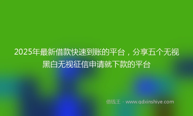2025年最新借款快速到账的平台，分享五个无视黑白无视征信申请就下款的平台