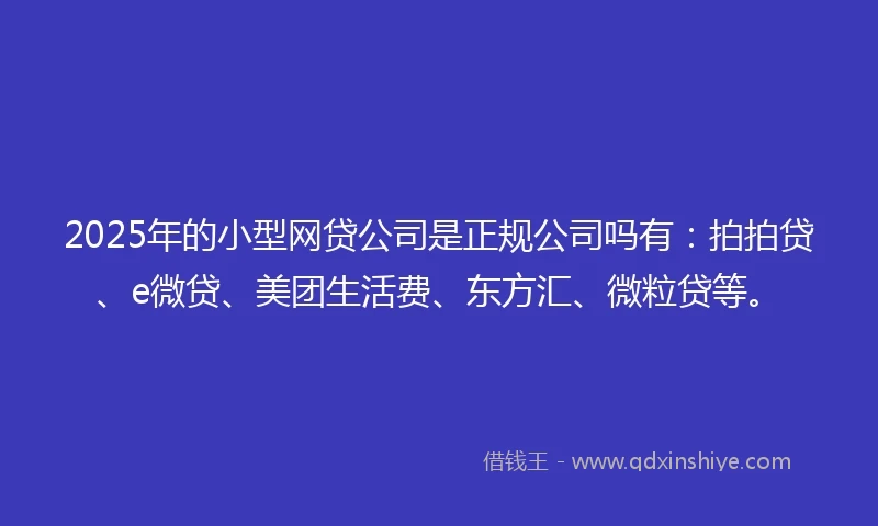 2025年的小型网贷公司是正规公司吗有：拍拍贷、e微贷、美团生活费、东方汇、微粒贷等。