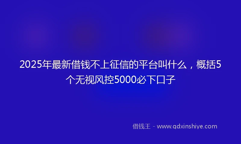 2025年最新借钱不上征信的平台叫什么，概括5个无视风控5000必下口子