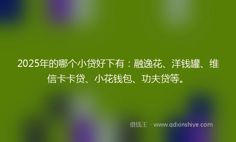 2025年的哪个小贷好下有：融逸花、洋钱罐、维信卡卡贷、小花钱包、功夫贷等。