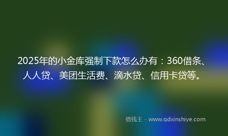 2025年的小金库强制下款怎么办有：360借条、人人贷、美团生活费、滴水贷、信用卡贷等。