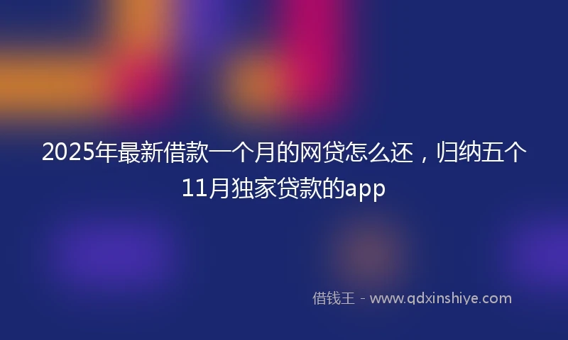 2025年最新借款一个月的网贷怎么还，归纳五个11月独家贷款的app