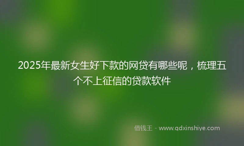 2025年最新女生好下款的网贷有哪些呢，梳理五个不上征信的贷款软件