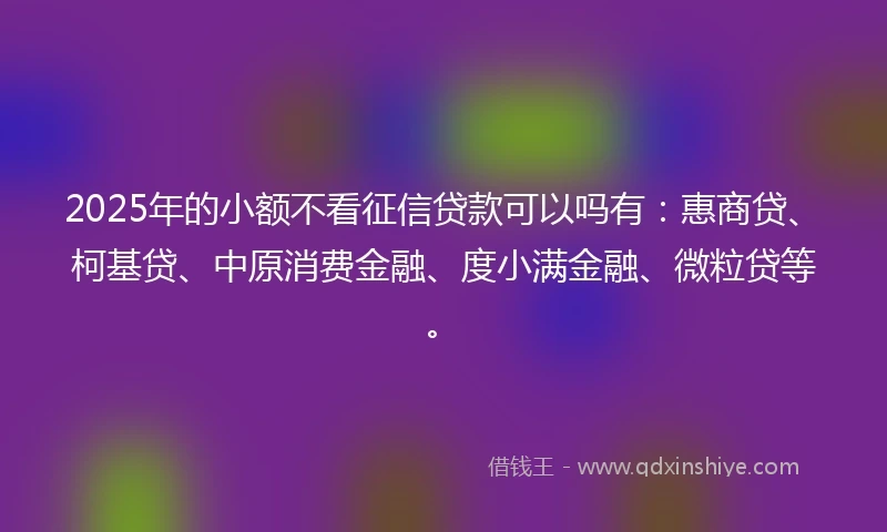 2025年的小额不看征信贷款可以吗有：惠商贷、柯基贷、中原消费金融、度小满金融、微粒贷等。