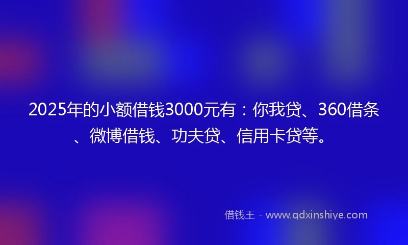 2025年的小额借钱3000元有：你我贷、360借条、微博借钱、功夫贷、信用卡贷等。