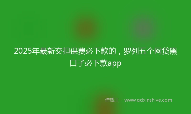2025年最新交担保费必下款的，罗列五个网贷黑口子必下款app