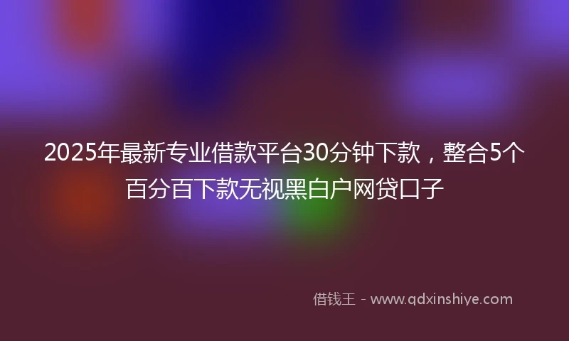 2025年最新专业借款平台30分钟下款，整合5个百分百下款无视黑白户网贷口子