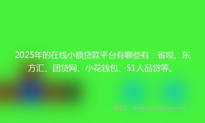 2025年的在线小额贷款平台有哪些有：省呗、东方汇、团贷网、小花钱包、51人品贷等。