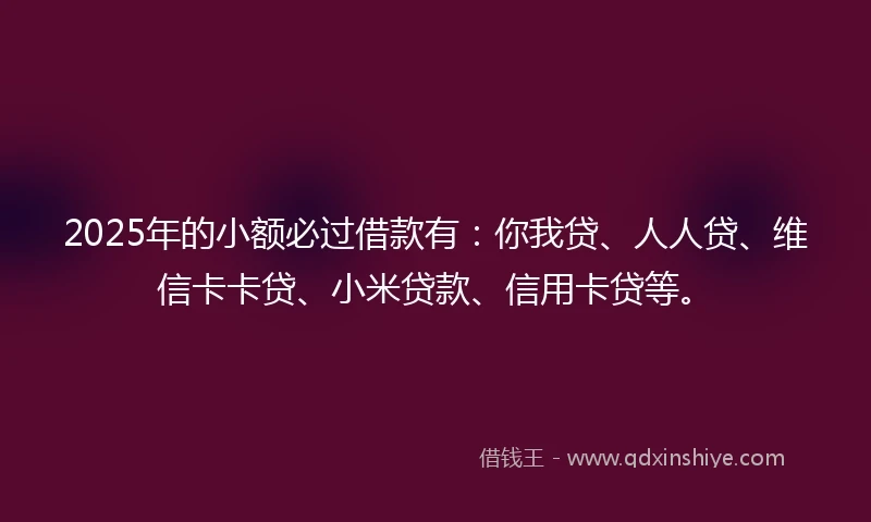2025年的小额必过借款有:你我贷、人人贷、维信卡卡贷、小米贷款、信用卡贷等。