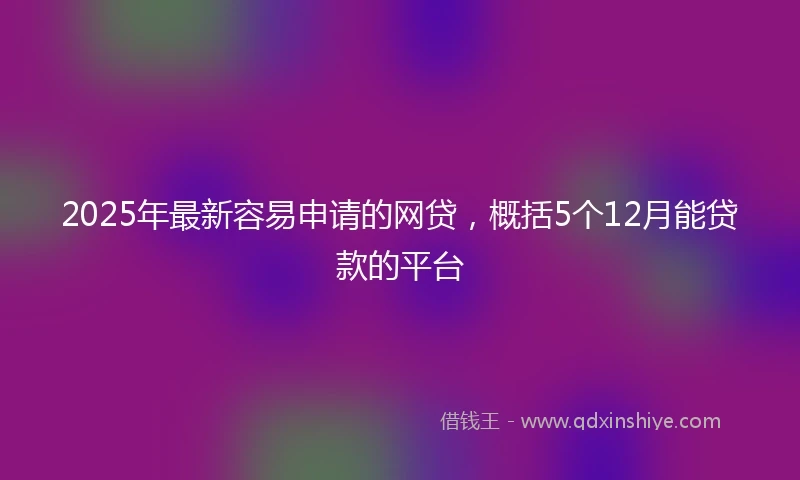 2025年最新容易申请的网贷，概括5个12月能贷款的平台