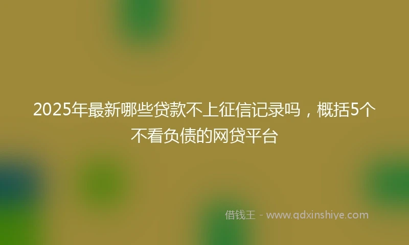 2025年最新哪些贷款不上征信记录吗，概括5个不看负债的网贷平台